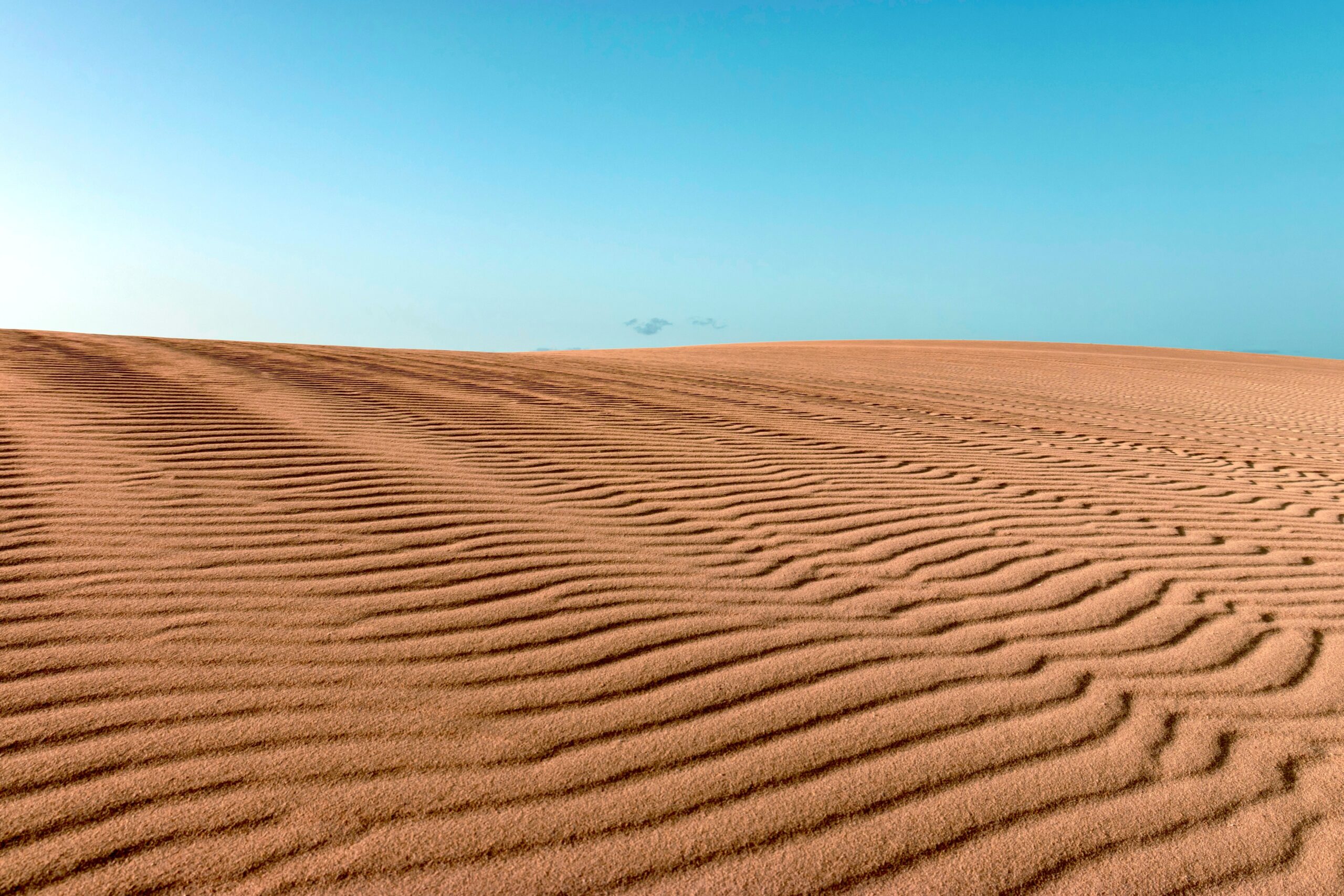 Deserto di Fuerteventura