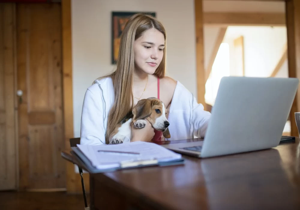 Lavorare a Fuerteventura, sicuri di non dimenticare niente?
