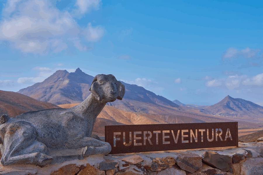 Vivere a Fuerteventura o meglio in Italia?