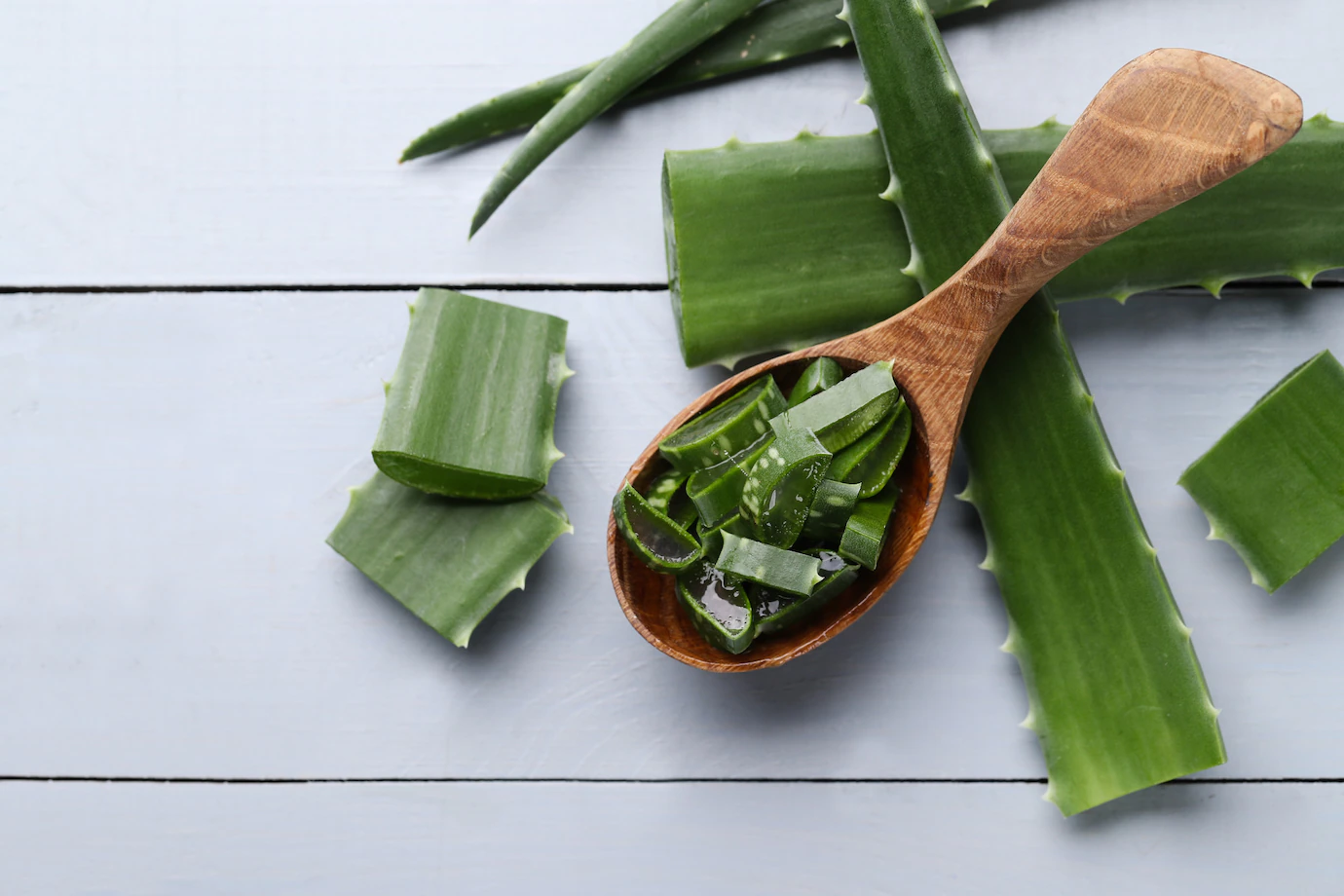 Aloe vera a Fuertventura