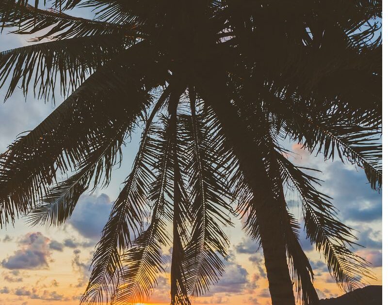 Fuerteventura non è un paradiso fiscale