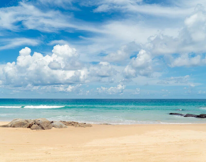 Festival del cinema ambientale a Fuerteventura dal 2 al 5 novembre 2023