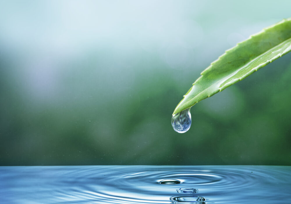 L’acqua potabile a Fuerteventura?
