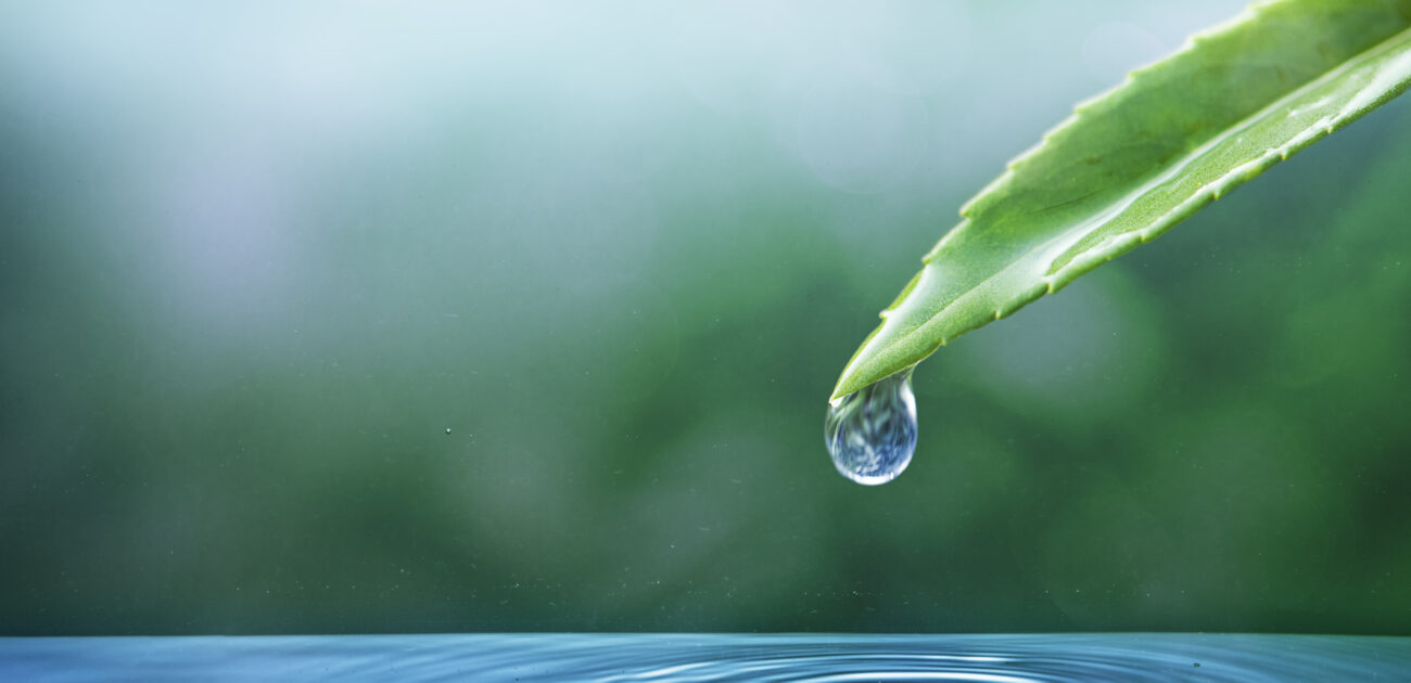 L’acqua potabile a Fuerteventura?
