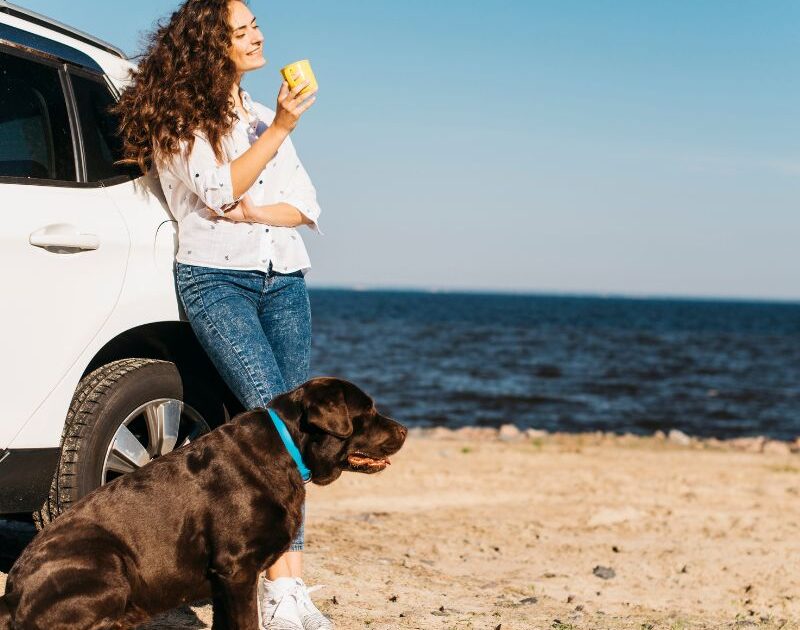 Viaggiare alle Canarie con il cane e gatto