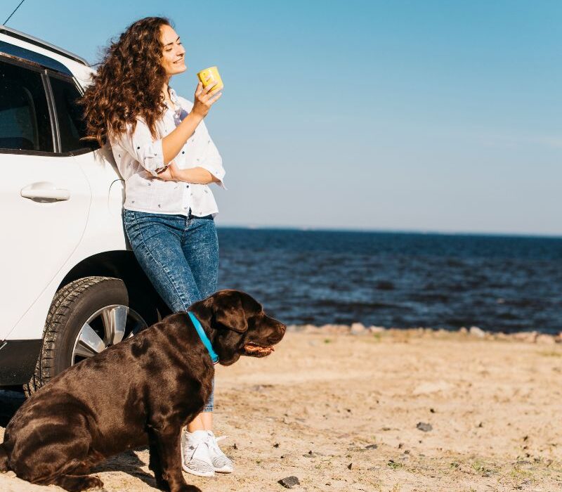 Viaggiare alle Canarie con il cane e gatto
