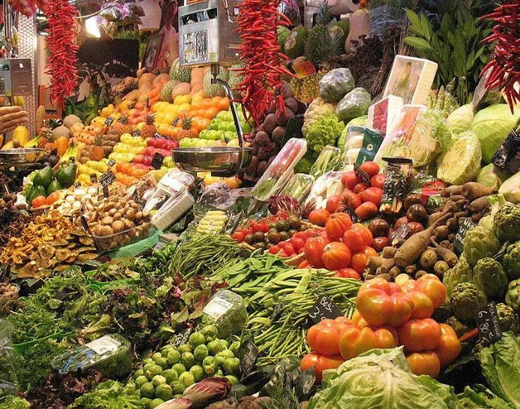 Cosa produce Fuerteventura?