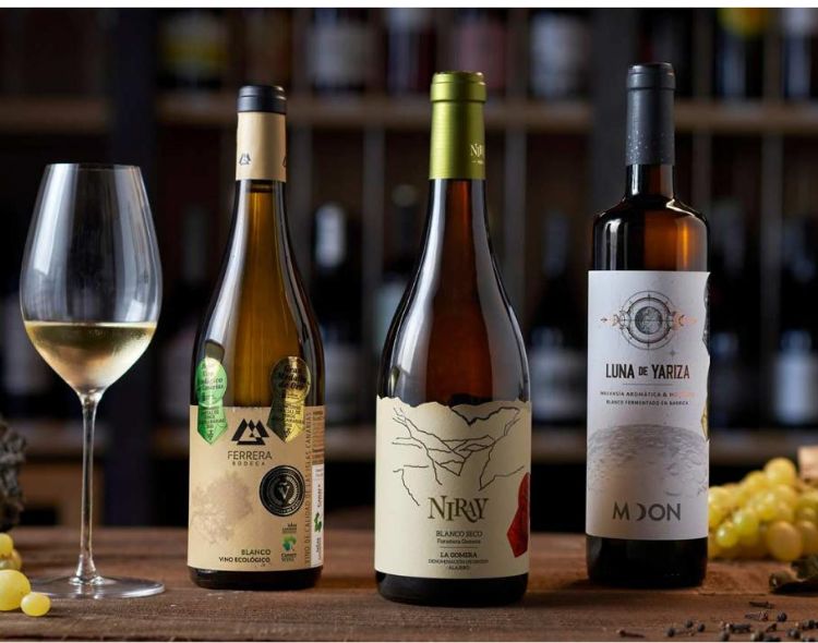 I vini delle Canarie